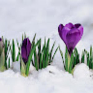 Meet your Posher, Leslie